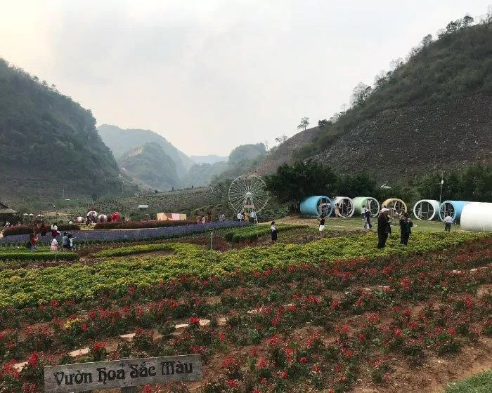 Vườn hoan Happy Land Mộc Châu. (Nguồn: BlogAnChoi)