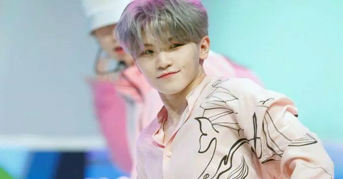 Woozi kể rằng từ khi còn nhỏ anh đã có tình cảm với noona. Và như những người khác làm với crush của mình, anh luôn cố tỏ ra thật tài năng và ngầu trước mặt crush (Nguồn: Internet)