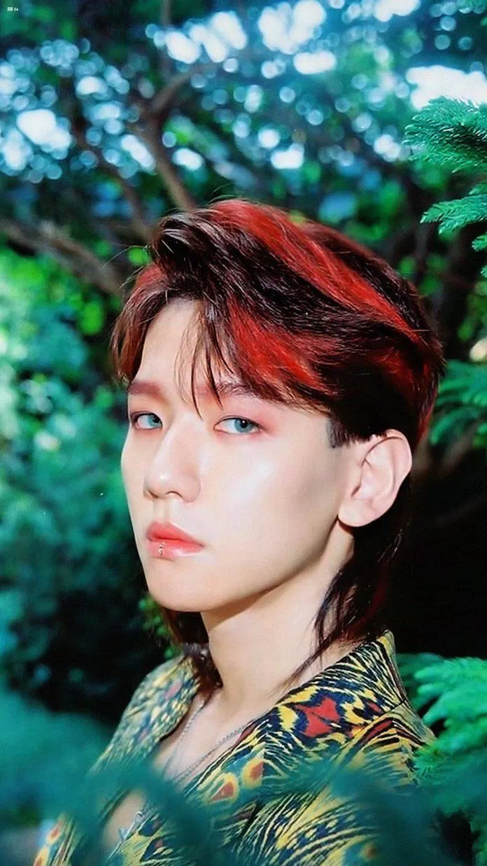 Những idol nam KPOP quyến rũ với kiểu tóc mullet Baekhyun Baekhyun (EXO) Big Bang BIGBANG BTS Đẹp trai EXO G-Dragon GD GOT7 GOT7 JB idol KPOP idol nam Jaebum JB kiểu tóc Kim Taehyung KPOP Mino mullet quyến rũ Seventeen song mino The8 tóc mullet Từ Minh Hạo V Winner