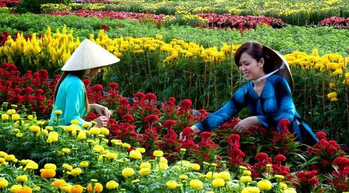 Cánh đồng hoa trỏ lên đẹp hơn bởi hình ảnh nụ cười thân thiện của những người dân trồng hoa (Nguồn: Internet)