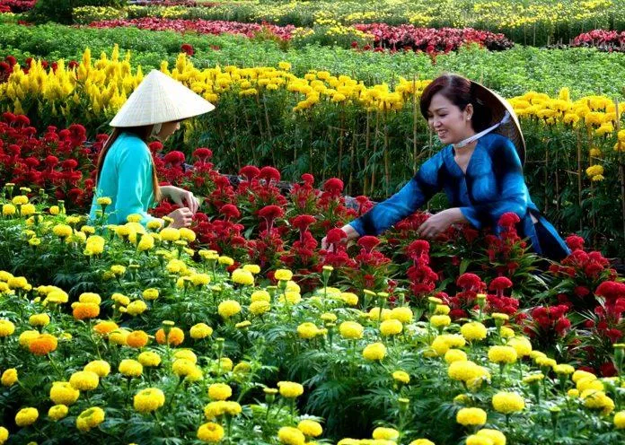 Cánh đồng hoa trỏ lên đẹp hơn bởi hình ảnh nụ cười thân thiện của những người dân trồng hoa (Nguồn: Internet)
