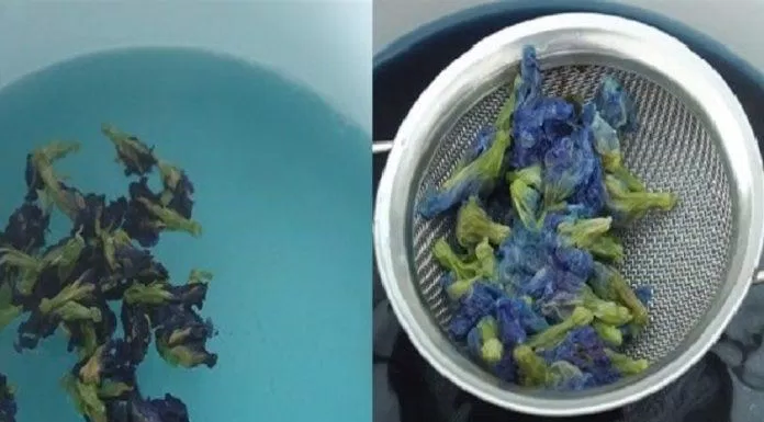 Cho hoa đậu biếc vào nồi nước sôi đun đến khi có màu xanh đậm (Nguồn: Cooky TV)