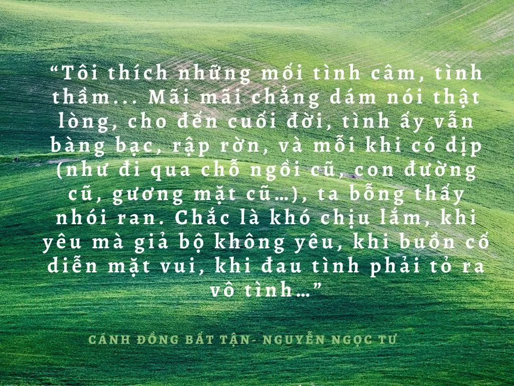 Một trích dẫn trong Cánh Đồng Bất Tận. (Nguồn: BlogAnChoi)