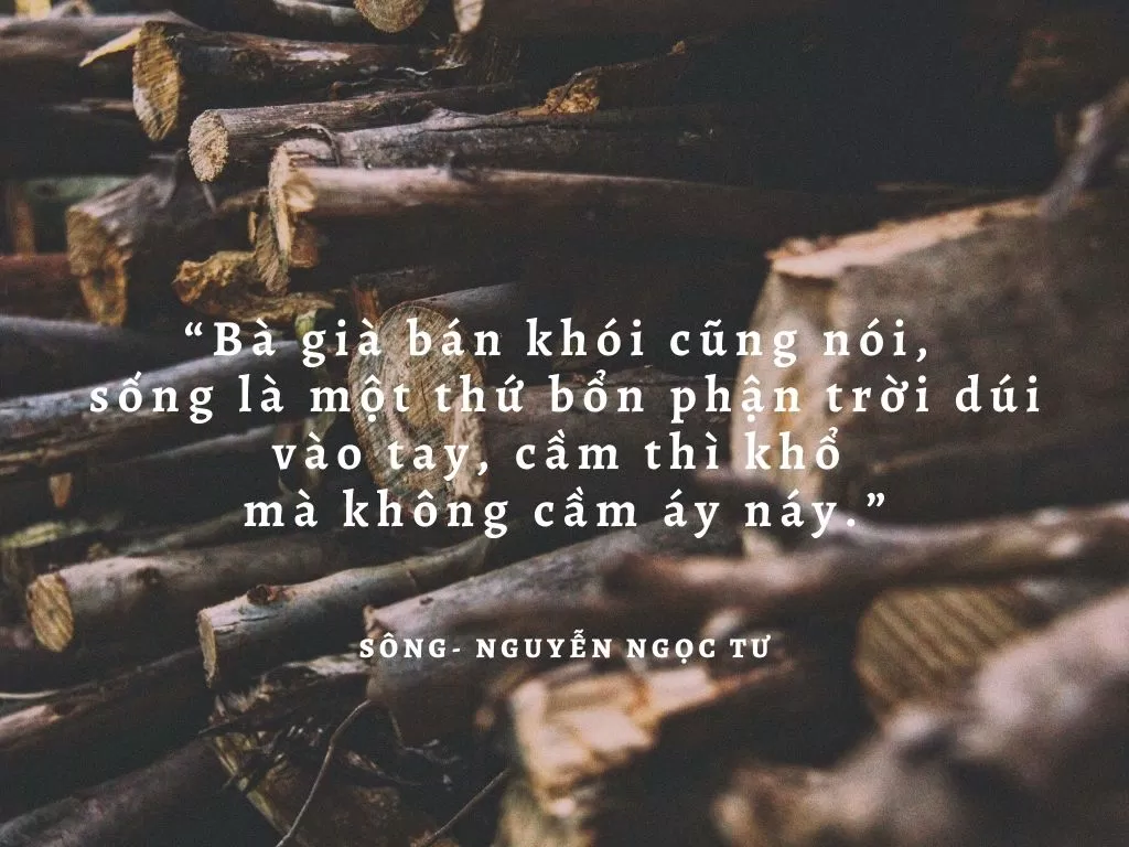 Một trích dẫn trong tiểu thuyết Sông. (Nguồn: BlogAnChoi)