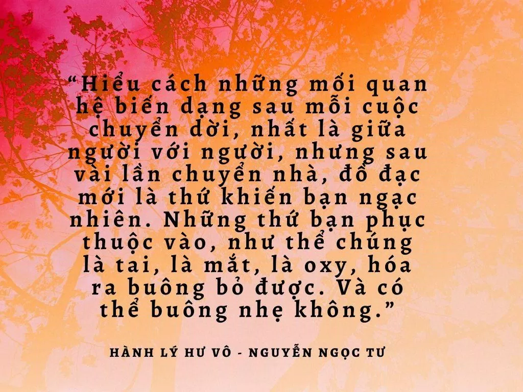 Một trích dẫn trong Hành Lý Hư Vô. (Nguồn: BlogAnChoi)