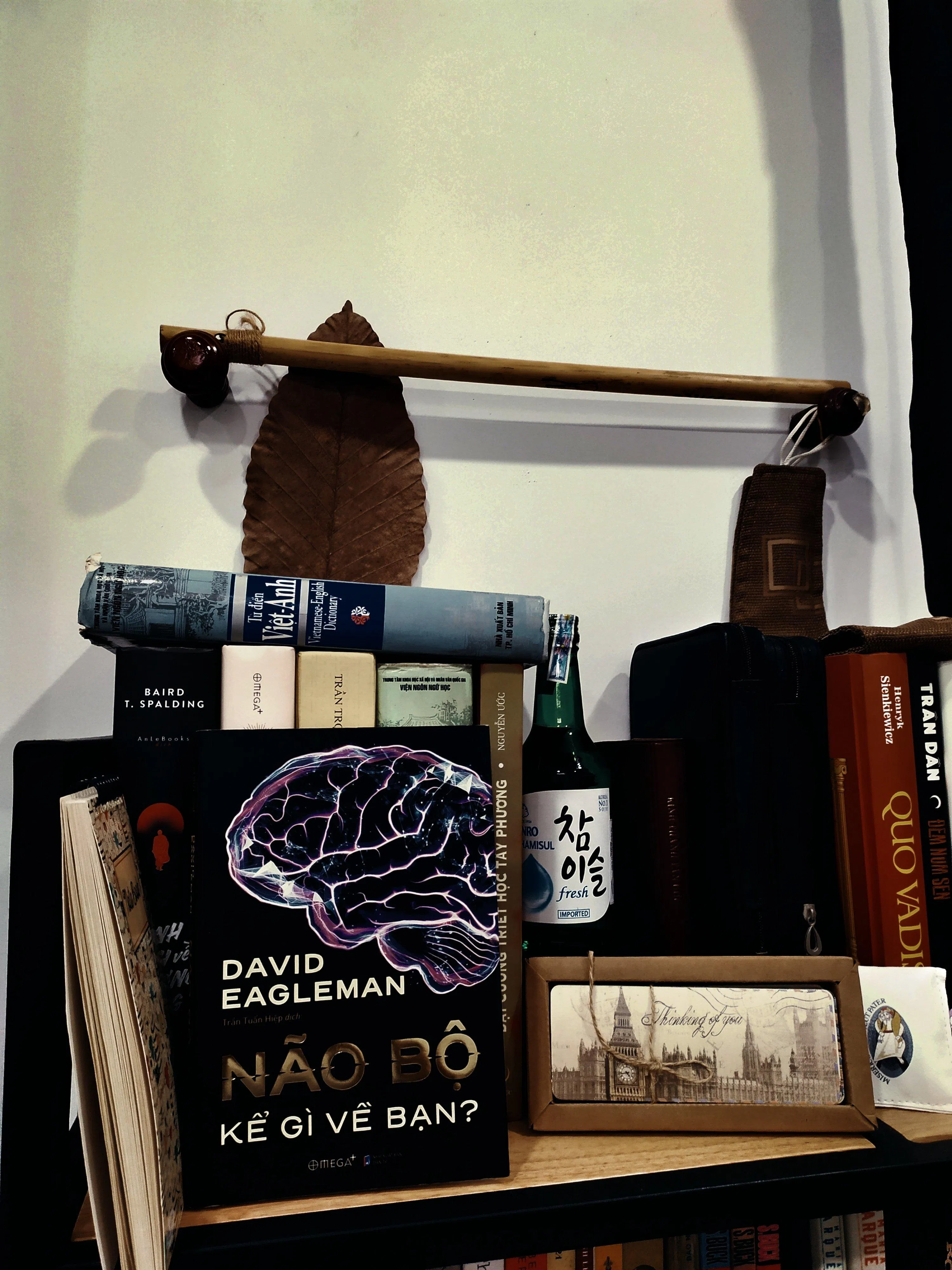 Các bạn trẻ nên nâng cấp bản thân bằng những loại sách khoa học thường thức như Não Bộ Kể Gì Về Bạn? (Ảnh: BlogAnChoi)