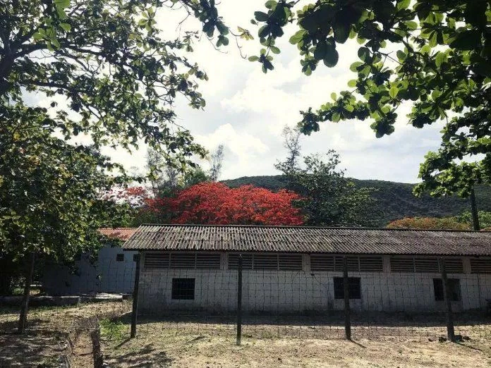 Một góc nhà tù Côn Đảo mùa phượng nở (Nguồn: @flyingmysky)