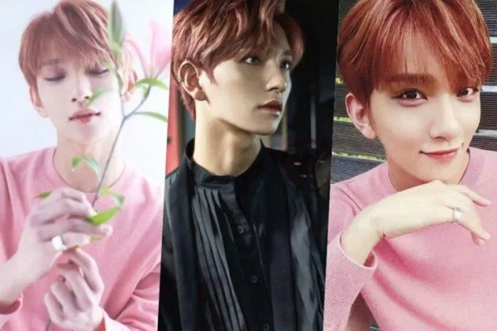 Joshua (SEVENTEEN) trông thật ngọt ngào với trang phục và mái tóc hồng. (Nguồn: Internet)