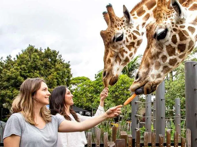 Sở thú Taronga ở Sydney Australia (Nguồn: Internet)