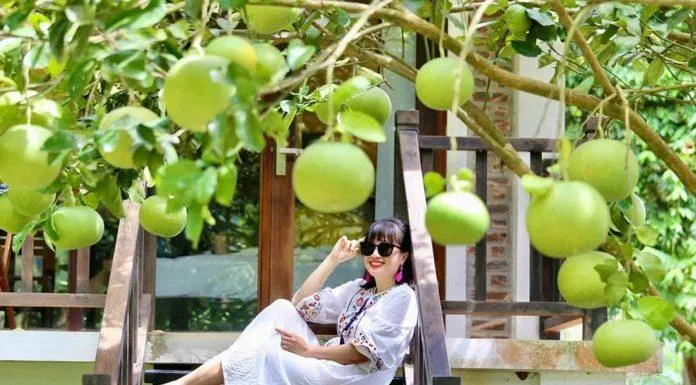 Không gian tươi mát mùa hè (Nguồn: Sol Bungalows)