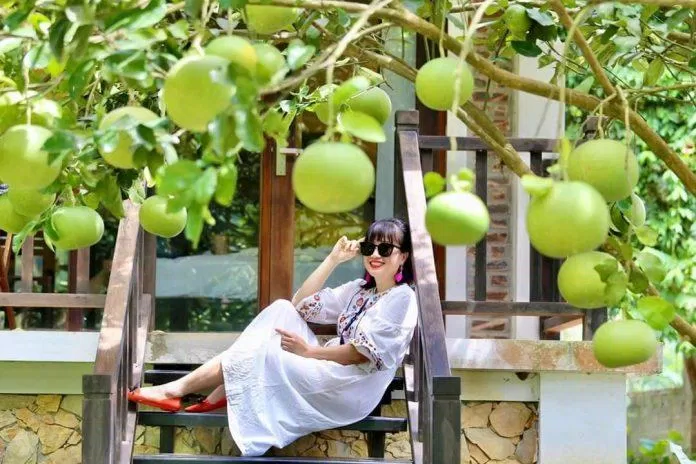 Không gian tươi mát mùa hè (Nguồn: Sol Bungalows)