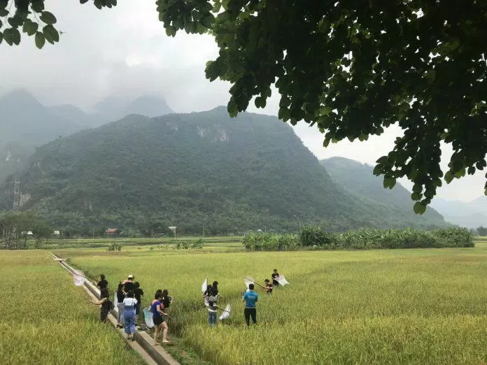 Trái nghiệm cuộc sống và công việc của người dân tại đây... (Nguồn: Sol Bungalows)