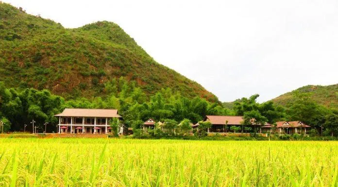 Khung cảnh yên bình được bao quanh bởi những cánh đồng lúa và núi rừng Tây Bắc (Nguồn: Sol Bungalows)