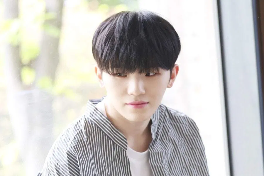 Woozi - Chàng idol toàn năng KPOP (Nguồn: Internet)
