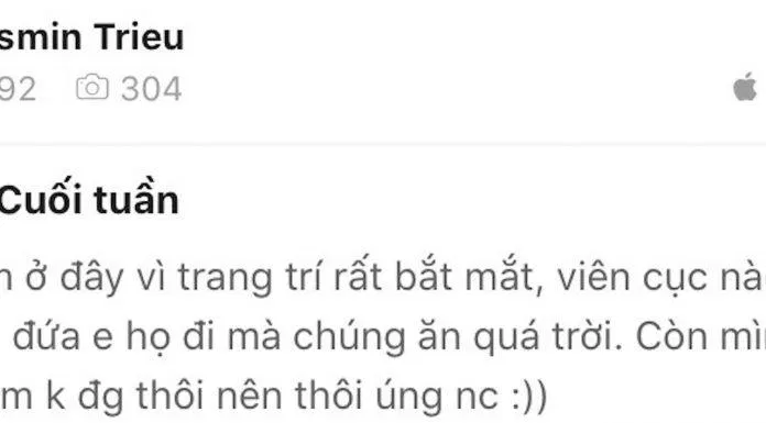 Cảm nhận của bạn Ngọc Linh về kem Swensen (Nguồn: Internet)