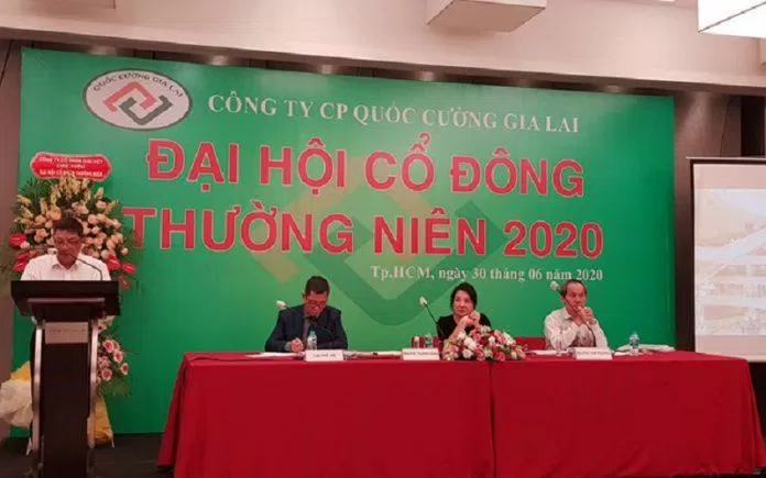 Phiên họp Đại Hội Đồng Cổ Đông vừa qua cũng đề cập đến dự án này (Ảnh: internet)