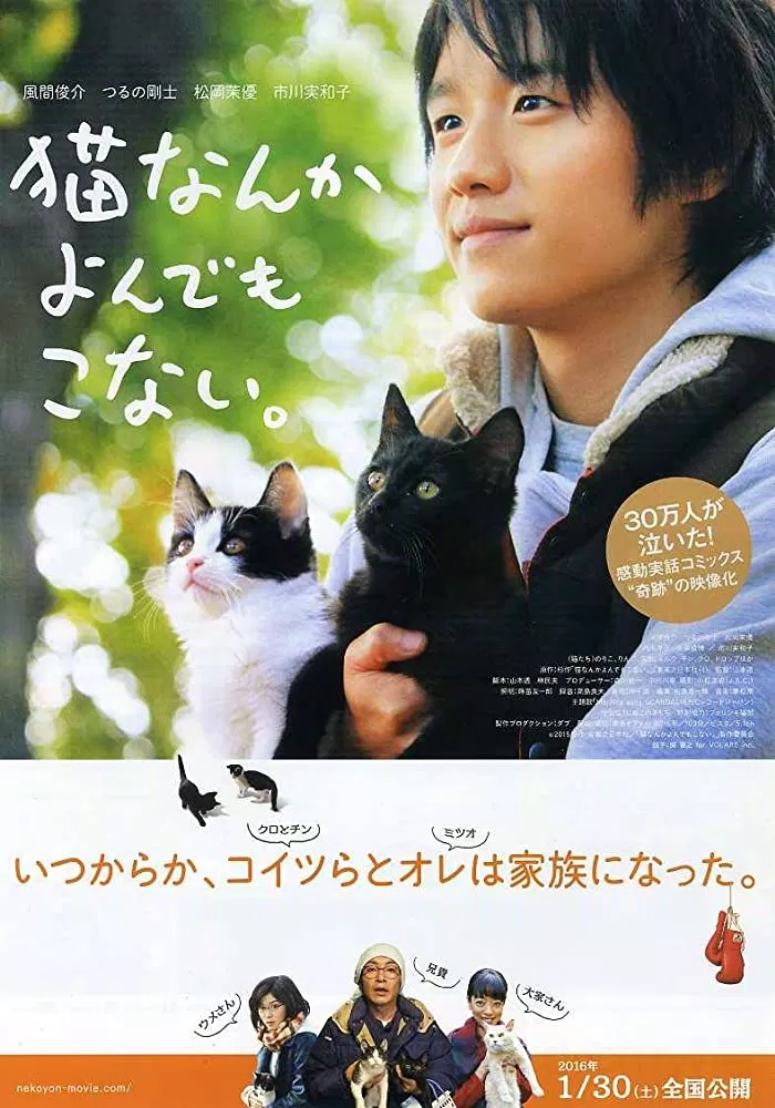 Poster phim Cats Don’t Come When You Call (Ảnh: Internet)