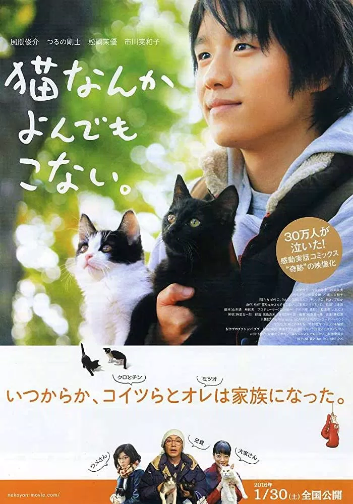 Poster phim Cats Don’t Come When You Call (Ảnh: Internet) Poster phim Cats Don’t Come When You Call (Ảnh: Internet)
