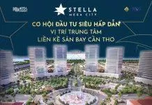 Cơ hội lớn đầu tư vào Stella Mega City (Ảnh: Internet)
