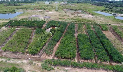 Đã gần 4 năm nhưng dự án vẫn dậm chân tại chỗ (Ảnh: internet)