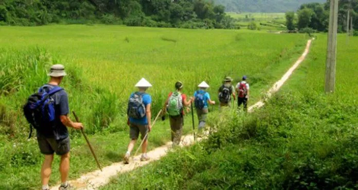 Du khách trải nghiệm chuyến trekking tại Sa Pa ( nguồn: Internet )