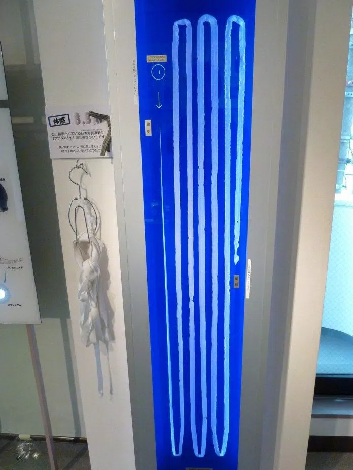 Sán dây với chiều dài 8 mét tại bảo tàng ký sinh trùng Meguro. ( Nguồn: Internet)