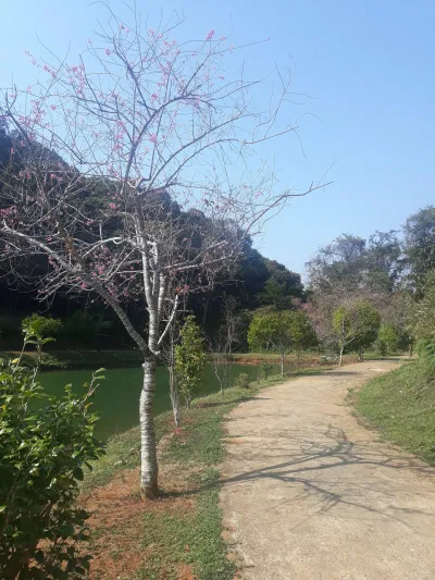 Con đường tản bộ quanh hồ (Nguồn: BlogAnChoi)