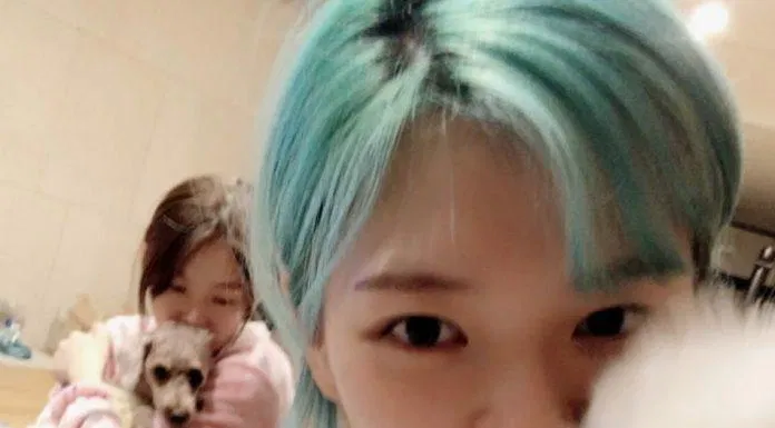 tJeongyeon ghen tị với chú chó của mình (ảnh: internet)