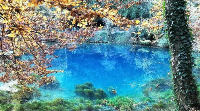 Màu xanh thẳm lạ kỳ của mạch nước Blautopf (Ảnh: Internet)