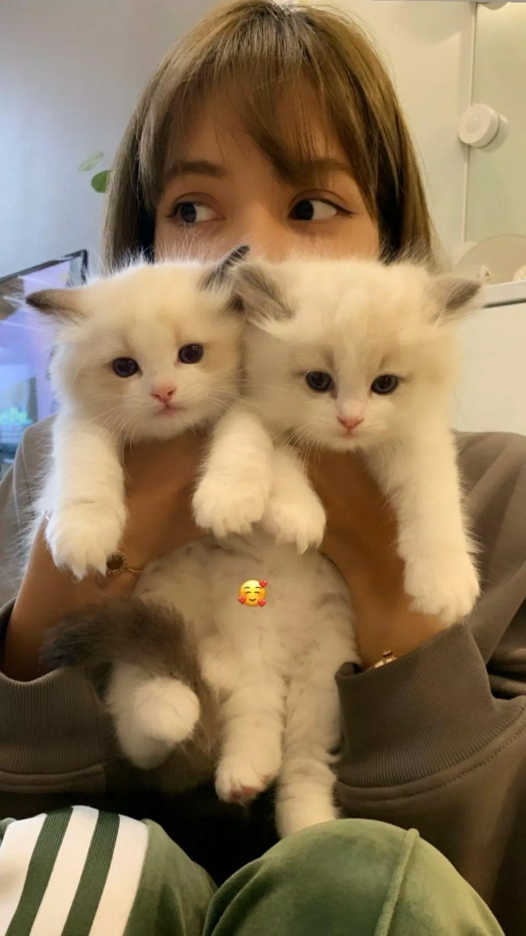 Lily và em trai Mingus giống nhau như đúc (Ảnh: Internet)