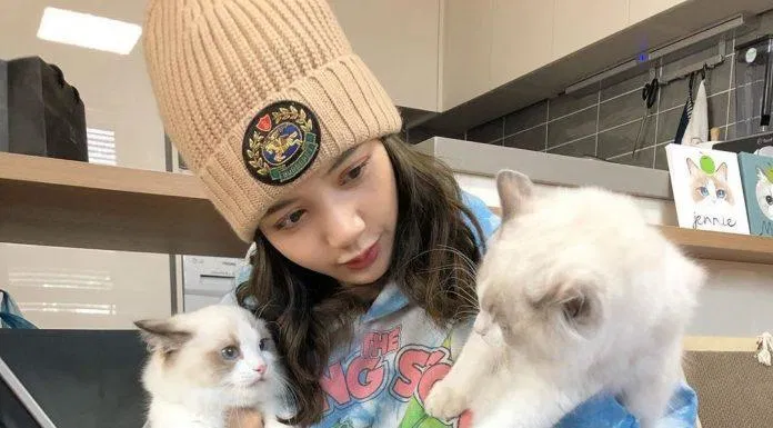 "Bà nội" Lisa và hai cháu yêu (Ảnh: Internet)