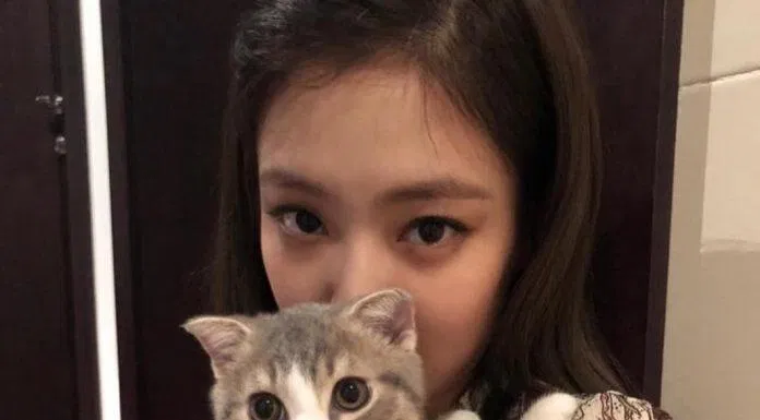 Cho đến Jennie (Ảnh: Internet)