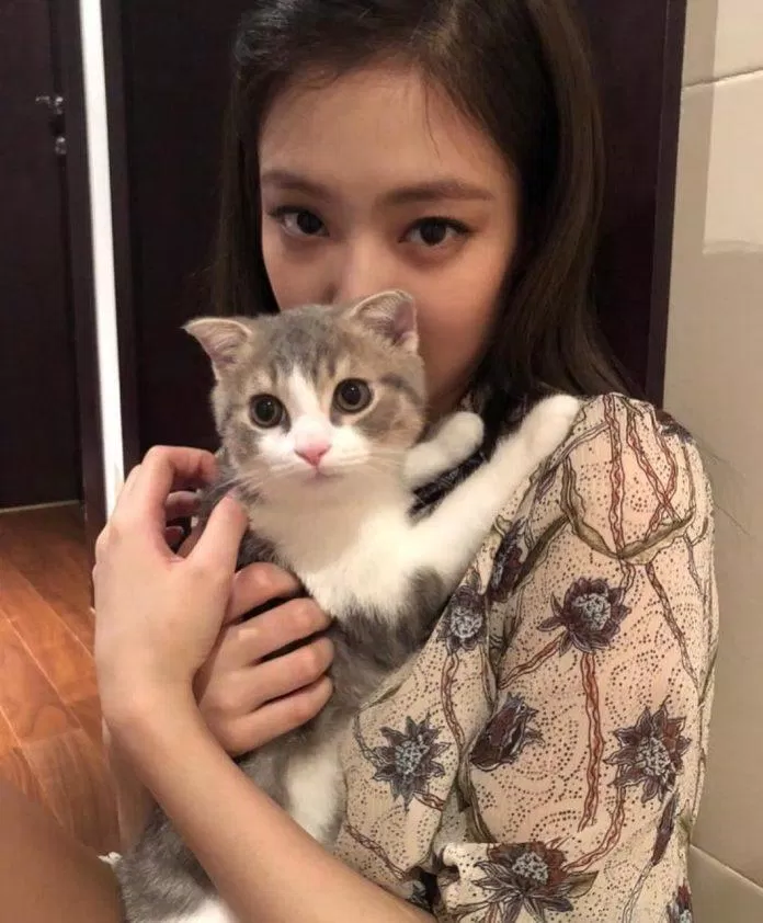 Gửi Jennie (Ảnh: Internet)