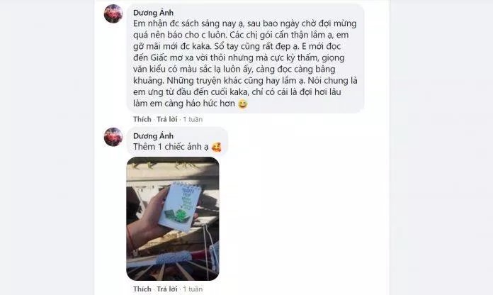 Nằm Mơ Giữa Lòng Thành Phố được đánh giá khá tốt (Nguồn: BlogAnChoi)