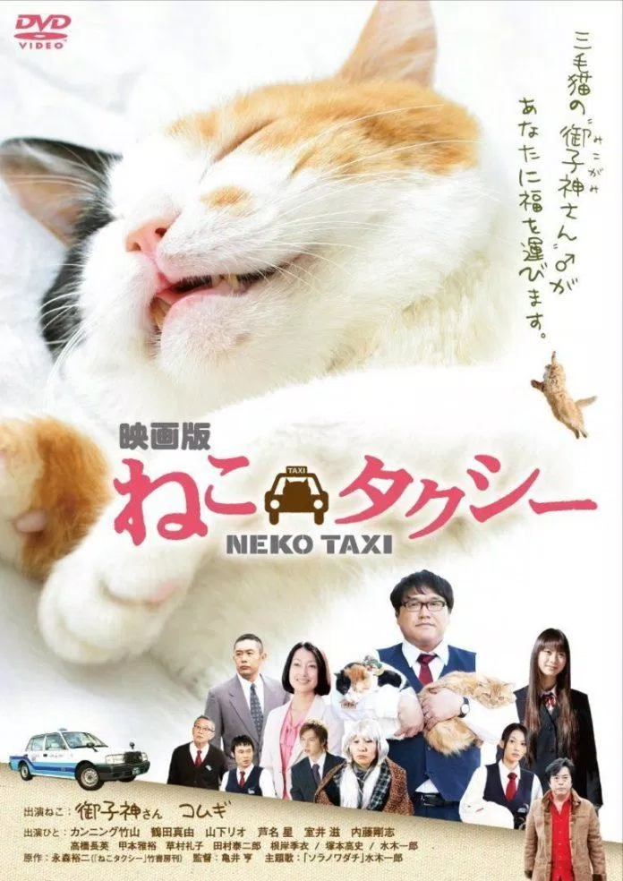 Poster chính thức của bộ phim Neko Taxi (Ảnh: Internet)