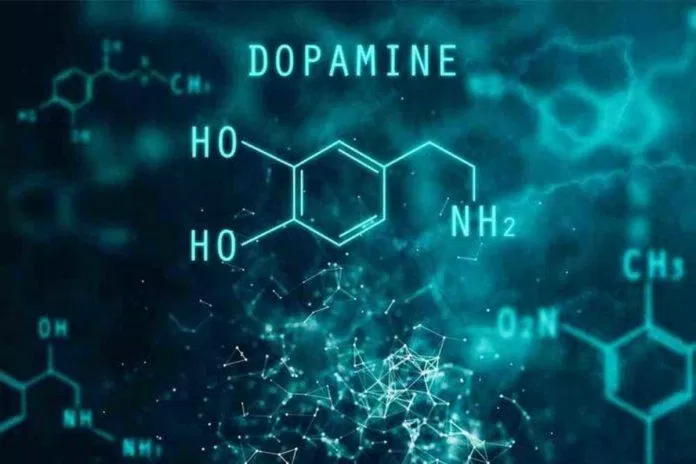 Dopamine - yếu tố quan trọng trong quá trình gây nghiện (Ảnh: Internet)