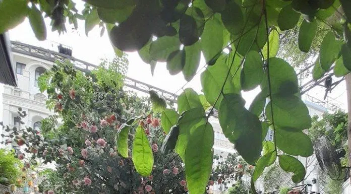 Nhân viên phục vụ có thái độ rất nhiệt tình (Nguồn: FB La Bonté Café)