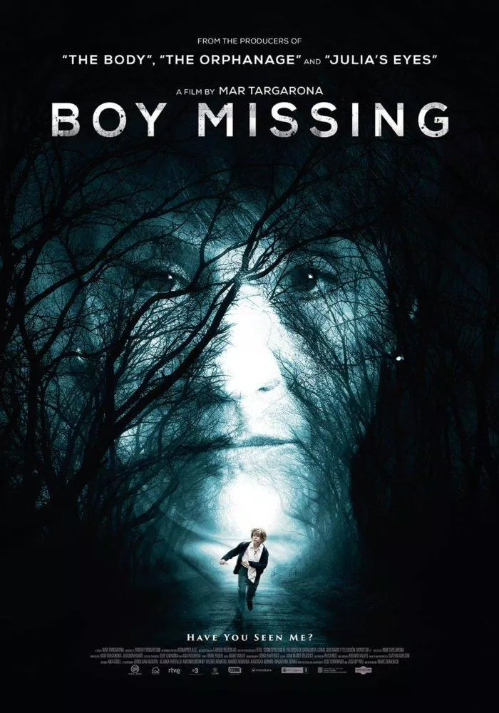 Poster phim Boy Missing. (ảnh: Internet)