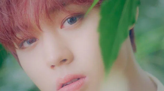 Đôi mắt nai đã trở thành thương hiệu của Park Ji Hoon. (Nguồn: Internet) Đôi mắt nai đã trở thành thương hiệu của Park Ji Hoon. (Nguồn: Internet)