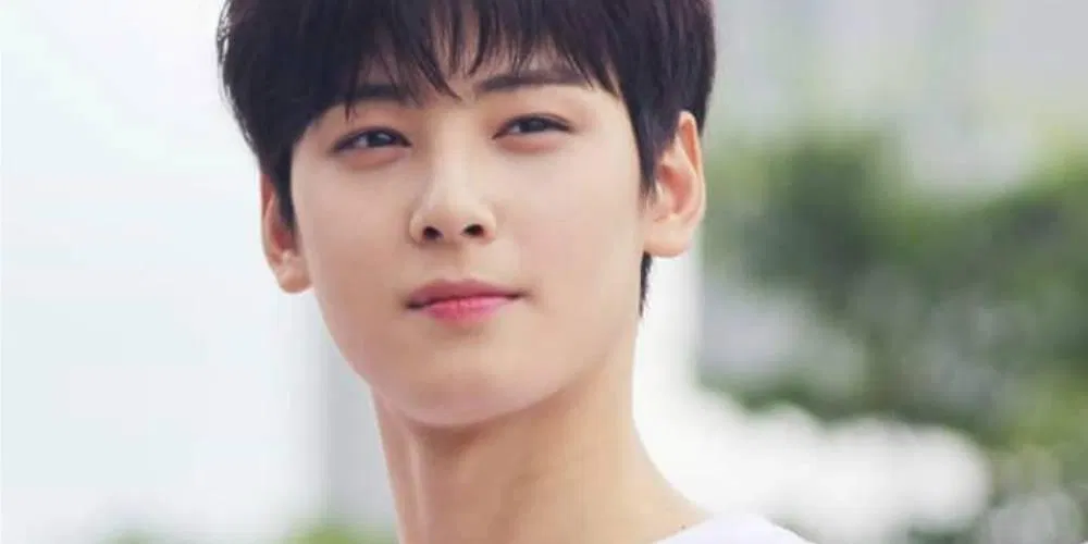 Anh chàng được số đông đánh giá là sự lựa chọn hoàn hảo cho nhân vật Suho (Nguồn: Twitter).