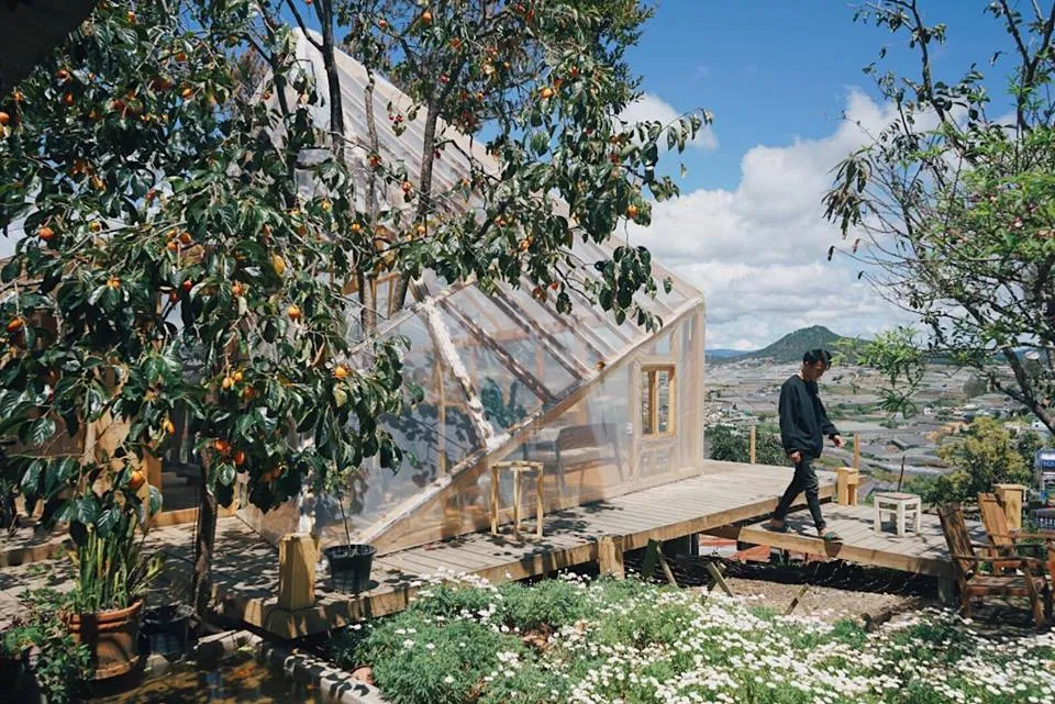 Quán cà phê Túi Mơ To nhỏ xinh (Ảnh: Internet) Quán cà phê Túi Mơ To nhỏ xinh (Ảnh: Internet)