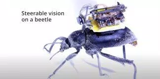 Hệ thống camera tí hon được đặt trên lưng côn trùng.