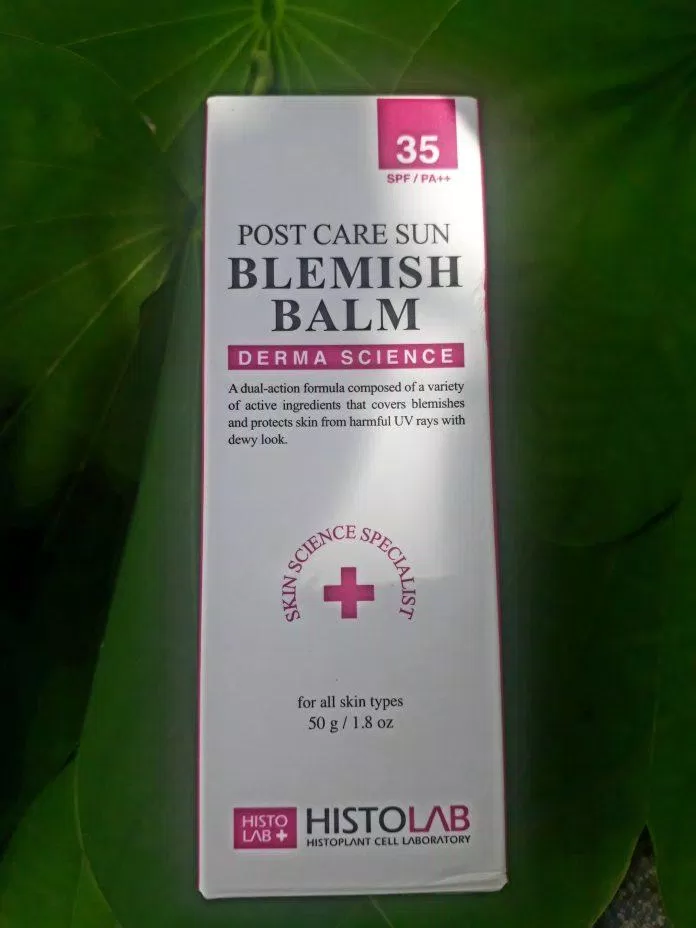 Vỏ hình hộp chữ nhật, dáng thuôn dài (ảnh: BlogAnChoi).