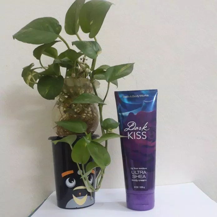 Bao bì kem dưỡng thể Bath & Body Works Dark Kiss Ultra Shea Body Cream nhìn thực sự lộng lẫy, hút mắt, sang trọng (ảnh: BlogAnChoi).