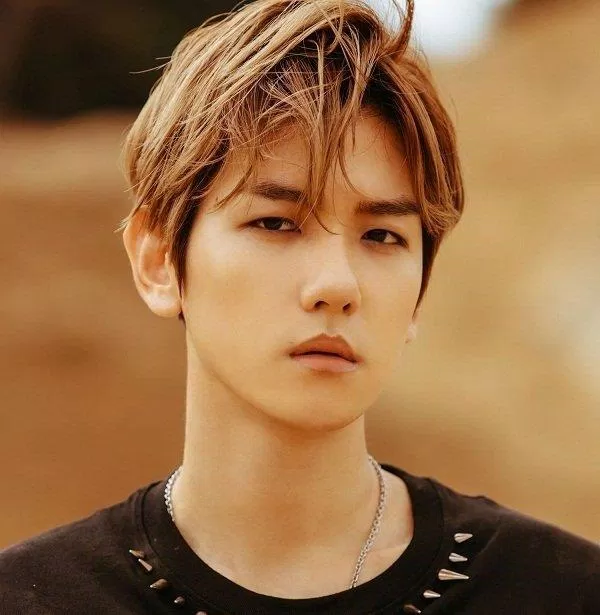 Baekhyun gặt hái nhiều thành công trong cả hoạt động nhóm lẫn hoạt động solo (Nguồn: Internet)