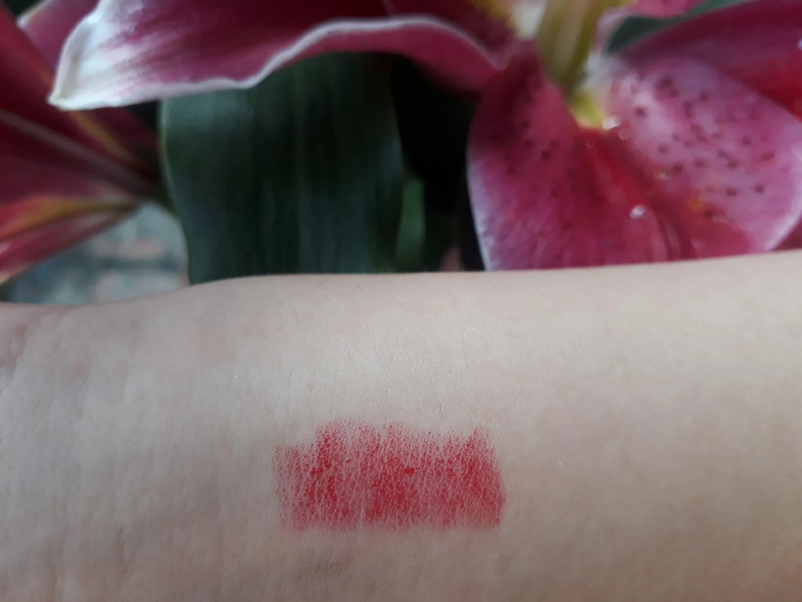 Chất son dạng sáp đặc, mềm mại, ẩm mượt, mịn màng như nhung (ảnh: BlogAnChoi).