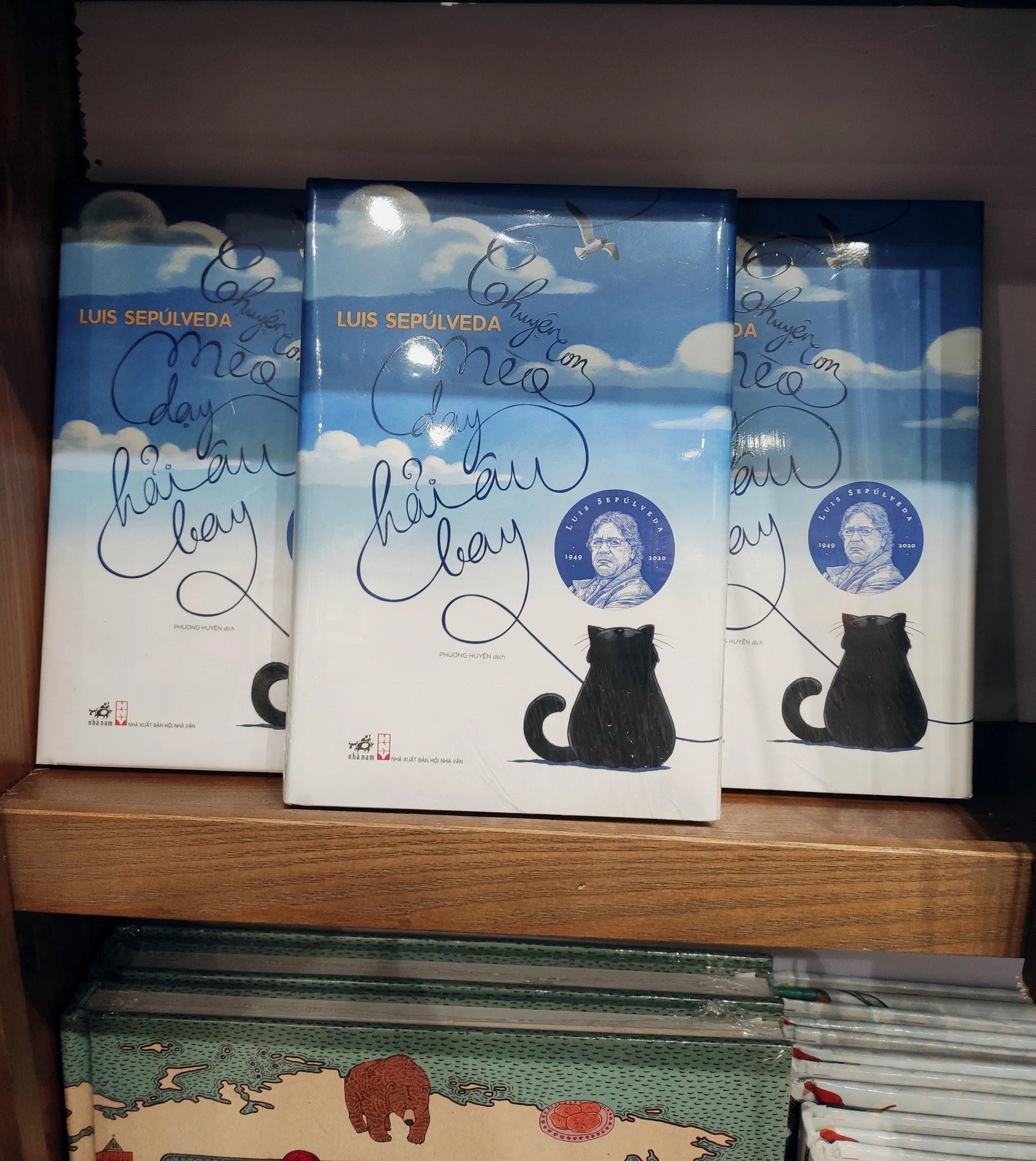 Sách thiếu nhi Chuyện con mèo dạy hải âu bay (Nguồn: BlogAnChoi).