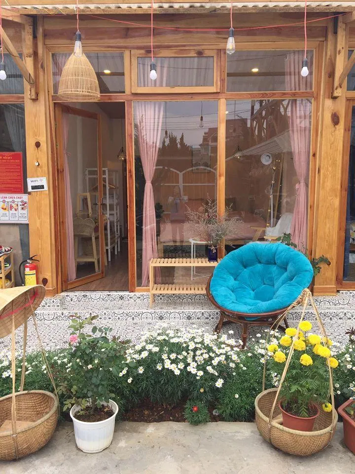 Nhà Tin còn trồng rất nhiều cúc họa mi và trang bị ghế nệm rất xinh (Nguồn: Facebook Homestay Nhà Tin)