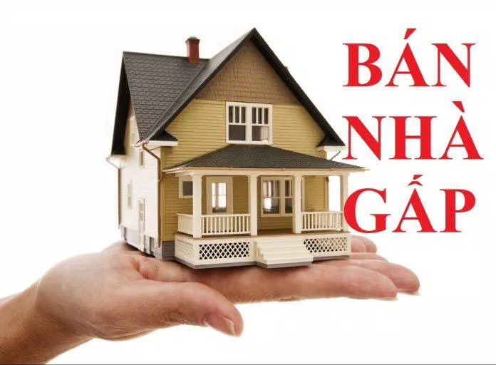 Dễ dàng thương lượng giá với những nhà bán gấp (Ảnh: Internet)