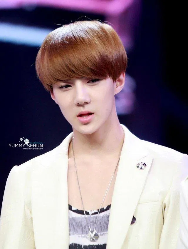Hình ảnh trẻ con song vẫn cực kì đẹp trai của Sehun thời đấy (Ảnh: Internet)